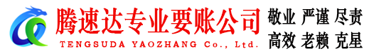 泰山要账公司